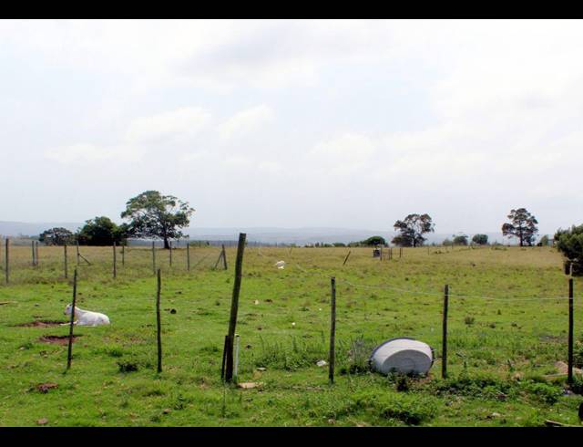 106HA FARM FOR SALE IN EAST LONDON CENTRAL